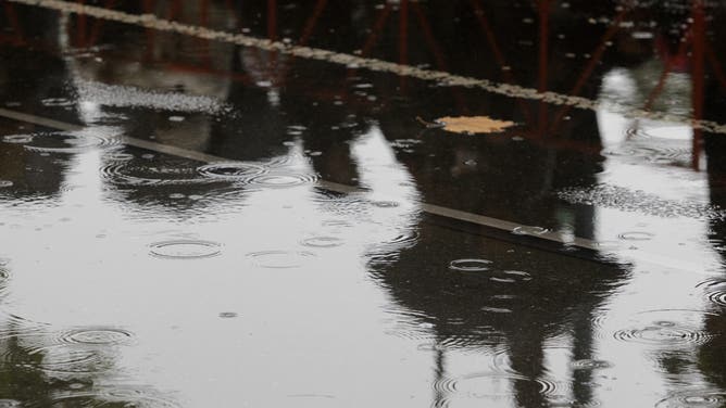 Rain drops collect in a puddle Friday, Oct. 31, 2014.