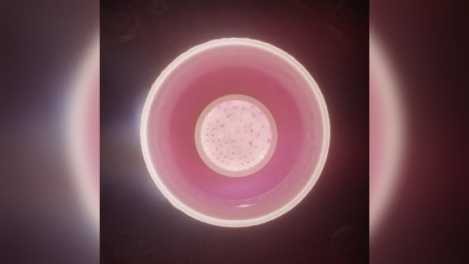 Photo of a lithium-fed electromagnetic thruster.