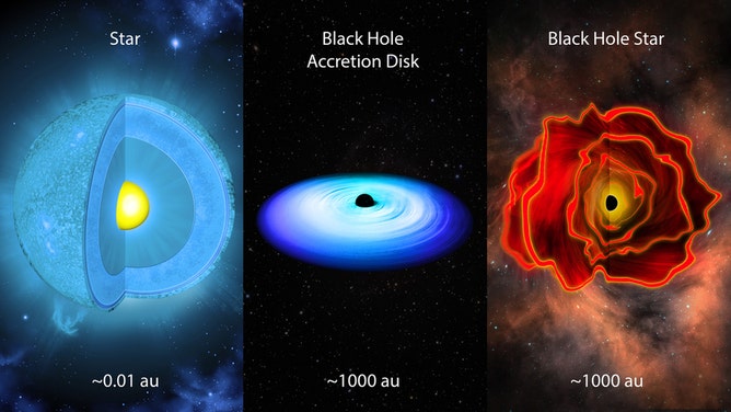 Different kinds of stars.