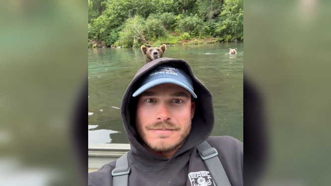 Fisherman films a grizzly bear eating salmon while sharing a river in Alaska.