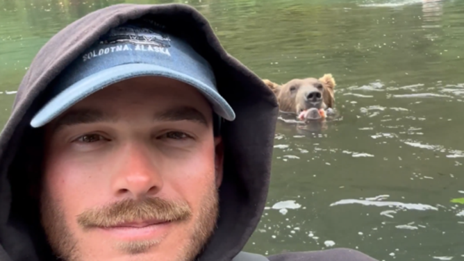 Grizzly bear swims beside fisherman in Alaska.