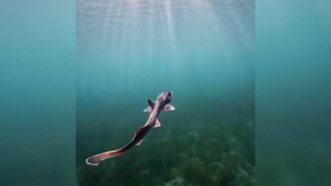 The sun was shining right beneath the surface.