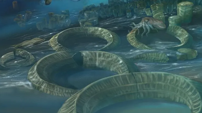 his illustration shows the edge of a warm inland sea during the Cretaceous Period.