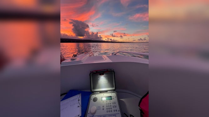 Shark tracking at sunset. (All animal interaction is under state and/or federal permits)