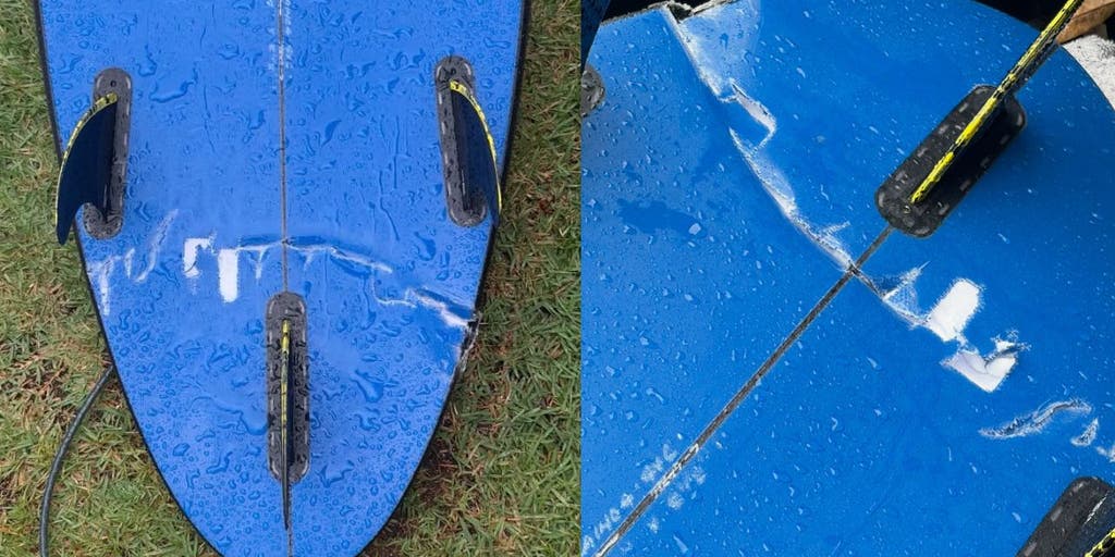 Surfer recounts terrifying encounter with massive, aggressive tiger shark at popular Hawaii surf spot