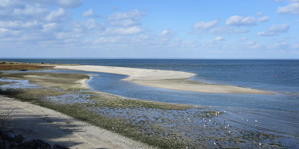 Long Island Sound shows signs of a comeback as water quality continues to improve