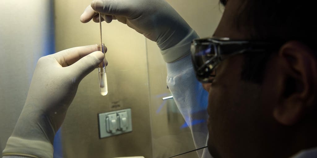 This skin fungus can resist common treatments — and it’s becoming a global concern