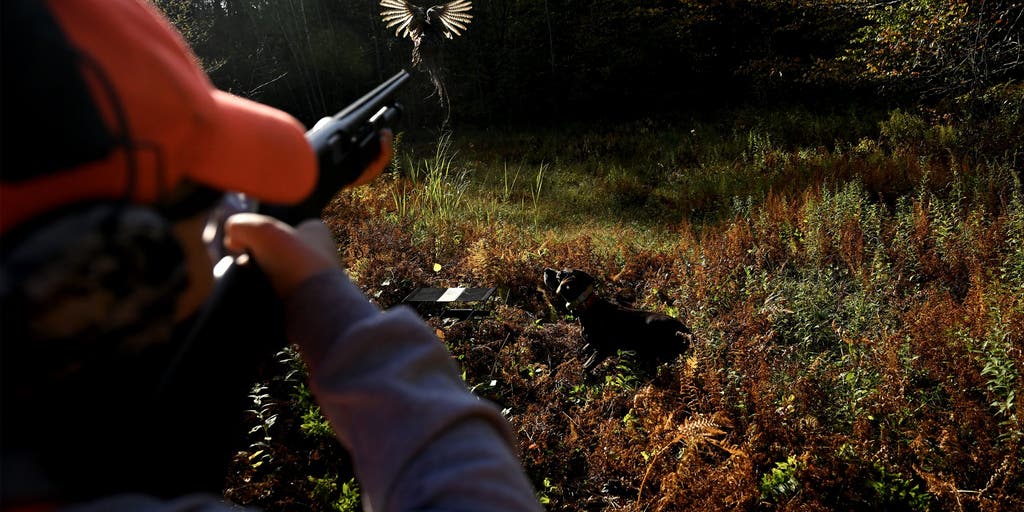Fall hunting guide 2026: The best places to hunt, when seasons begin and what animals are in season