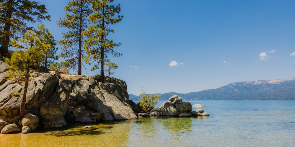 Reno swim instructor says she needed dozens of stitches after rare Lake Tahoe otter attack
