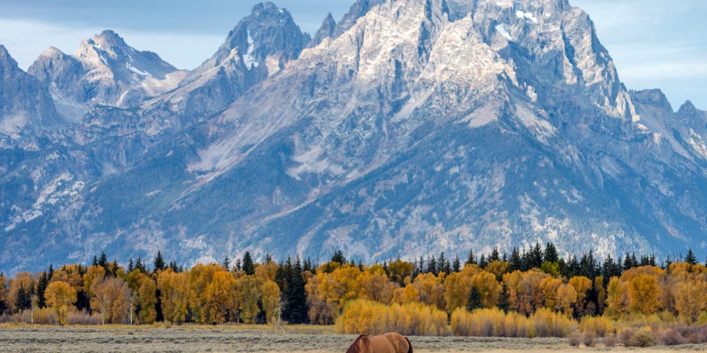 Baseball in the wild? MLB eyes iconic national park for future neutral-site game