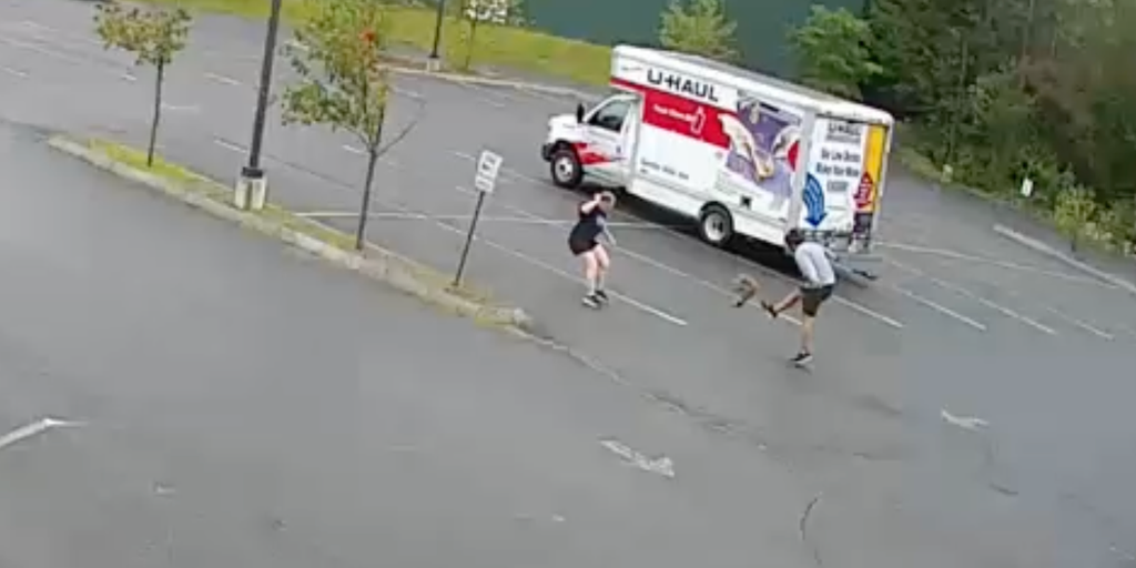 Mysterious animal goes on the attack, injuring 3 people in New Hampshire city