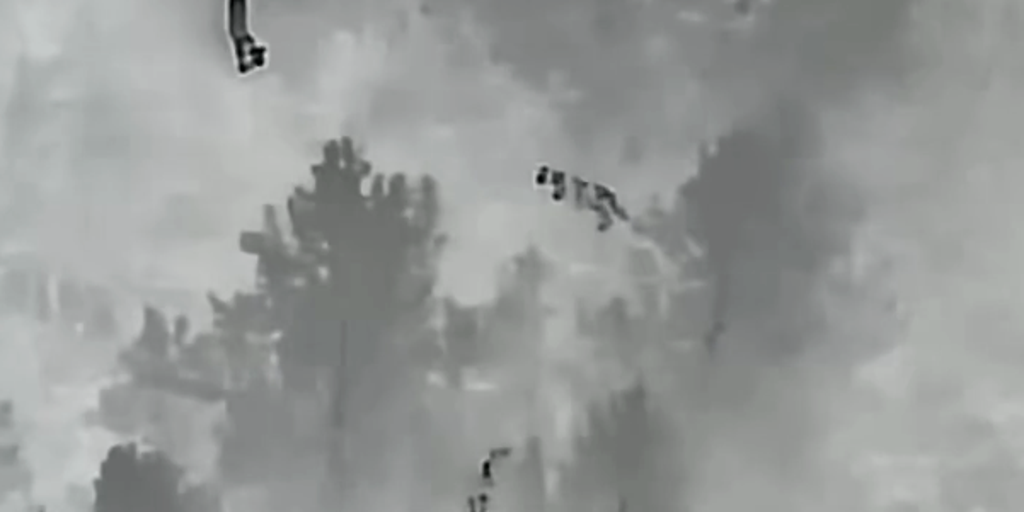 See it: Thermal drone captures unexpected visitors running through forest near Colorado school
