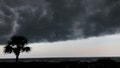 Severe weather shifts south, threatening the Carolinas and Georgia after week of nasty storms - Fox News