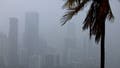 Prolonged tropical downpours target Florida with increasing flash flood threat through next week - Fox News