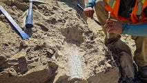 40-million-year-old fossilized animal bones discovered at California construction site