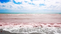 Toxic red tide detected along Texas coastline — here’s how it can affect your health