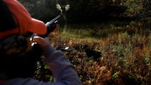 Fall hunting guide 2026: The best places to hunt, when seasons begin and what animals are in season