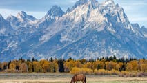 Baseball in the wild? MLB eyes iconic national park for future neutral-site game