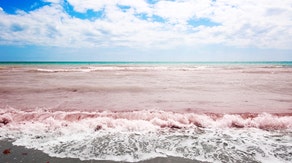 Toxic red tide detected along Texas coastline — here’s how it can affect your health