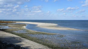 Long Island Sound shows signs of a comeback as water quality continues to improve