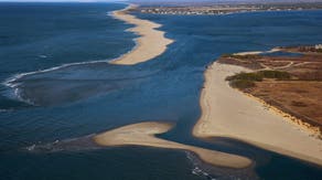 Woman injured in suspected shark attack while swimming at popular summer vacation destination
