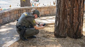 Valuable trees poisoned by diesel fuel prompt officials to offer hefty reward for any information