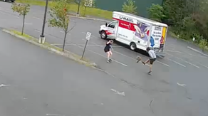 Mysterious animal goes on the attack, injuring 3 people in New Hampshire city