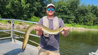 Man hooks massive monster eel in extremely rare spot in the Midwest - Fox News
