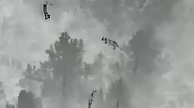See it: Thermal drone captures unexpected visitors running through forest near Colorado school