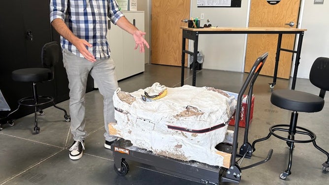 One of the bones after being moved to an off-site lab.