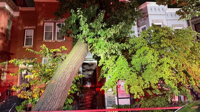 Tree falls onto row home in Washington, D.C. on Sep. 3, 2026.