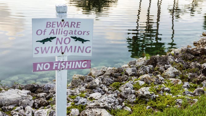 Florida, Naples, warning sign, no fishing, swimming, beware of alligators.
