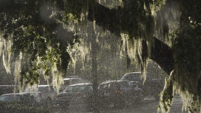 Heavy rain falls on a parking lot outside Tampa, Florida August 27, 2012. Due to severe weather Tropical Storm Isaac and possible hurricane conditions expected to hit the Mexican Gulf, the Republicans have decided to cut short their National Convention by one day.