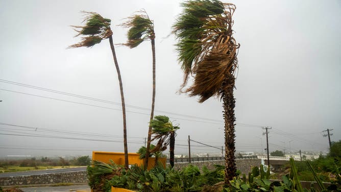 TOPSHOT - Wind blows palm trees before the arrival of hurricane Norma at Los Cabos, Baja California State, Mexico, on October 21, 2023. Hurricane Norma is expected to slam into Mexico's northwestern coast within hours, bringing "life-threatening" winds, flooding, and a dangerous sea surge, authorities warned Saturday. The storm, still powerful though downgraded overnight from Category 3 to Category 2 on the Saffir-Simpson scale, was headed toward a part of Mexico's Baja California coast popular with tourists.
