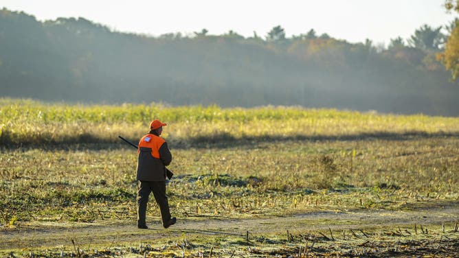 NORTON, MA - OCTOBER 21: A hunter walks through the Erwin Wilder Wildlife Management Area as drones capture footage in order to monitor illegal hunting practices at on October 21, 2013 in Norton, Massachusetts.