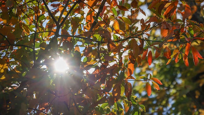 FILE - The sun pierces through branches of orange and green leaves at Frances Slocum State Park on Wednesday, Oct. 8, 2025. (Photo by Jason Ardan/The Citizens' Voice via Getty Images)