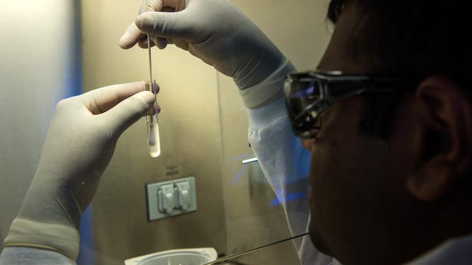 An Enteric Diseases Laboratory Branch (EDLB) public health scientist prepares foodborne bacteria for a DNA fingerprinting test, 2019. Image courtesy CDC.