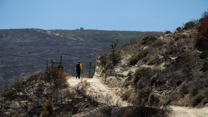 SANTA BARBARA COUNTY, CA - JUNE 08: Sasha Travaglio, spokesperson for the BAER (burned area emergency response) team, hikes up to an overlook of the burned campground at Santa Rosa Island on Monday, June 8, 2026, in Santa Barbara County, CA. Santa Rosa Island is the second largest island in the Channel Islands National Park. The wildfire initially started May 15, 2026 on South Side of Santa Rosa Island and burned around 18,379 acres. The cause of the fire is still under investigation.