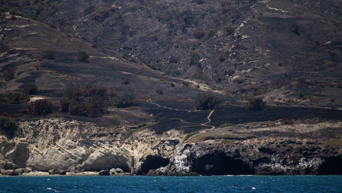 SANTA BARBARA COUNTY, CA - JUNE 08: Burn damage to The Torrey pine grove at Santa Rosa Island from a ferry on Monday, June 8, 2026, in Santa Barbara County, CA. Santa Rosa Island is the second largest island in the Channel Islands National Park. The wildfire initially started May 15, 2026 on South Side of Santa Rosa Island and burned around 18,379 acres. The cause of the fire is still under investigation.