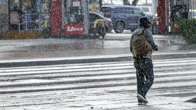 North Miami Beach, Florida, pedestrian in crosswalk during heavy rain, downpour.