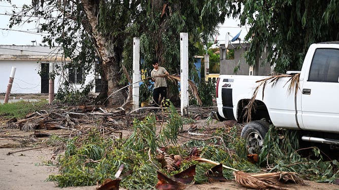 A man clears debris from fallen trees following the arrival of Hurricane Polo in the flooded town of Puerto San Carlos, Baja California Sur, Mexico, on September 29, 2026. Hurricane Polo made landfall on Mexico's Baja California peninsula on September 29, cutting power and causing flooding as the sea breached coastal defenses. 