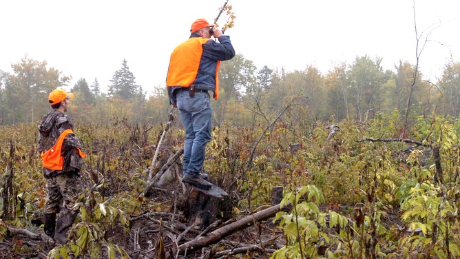 Staff Photo by John Patriquin, Wednesday, September 28, 2005: Maine guide Dave Drexel (right) scans a clear cut for moose with 14 year old Buckley Parker during the first day of the moose hunt in northern Maine. Parker has one of two moose permits in Maine from the non-profit Hunt of a Lifetime.