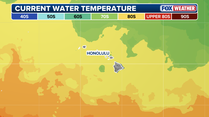 Current sea surface temperatures.