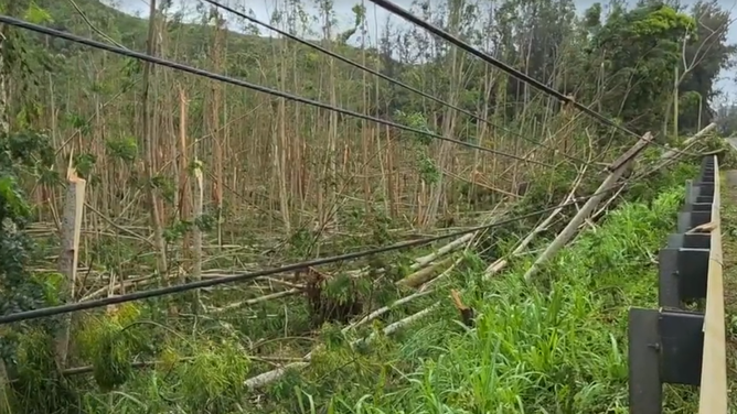 Damage from Hurricane Lowell in Lihue, Hawaii on Tuesday, Sep. 8, 2026.