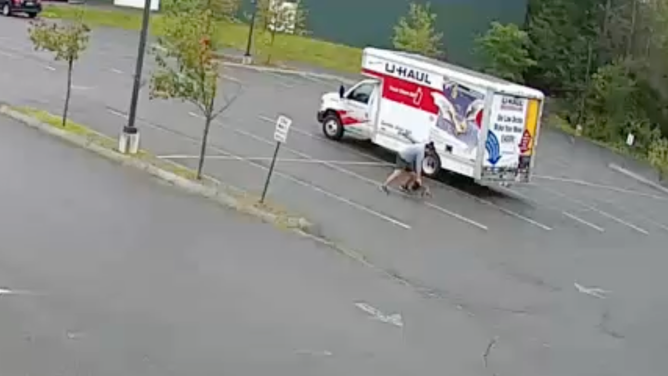 The animal approached the man again, stealing an item he threw at it to get it to leave him alone.