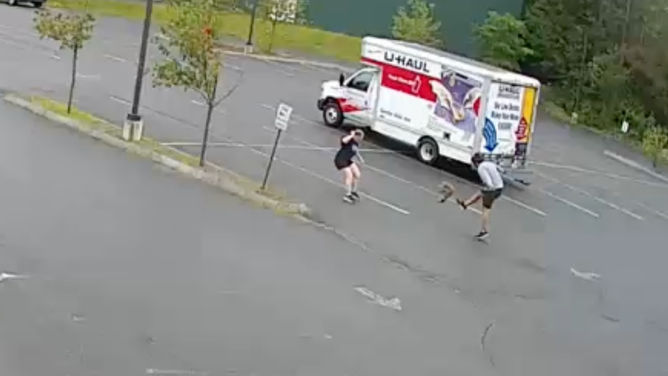 The man kicked the animal off him, sending it flying into the air.