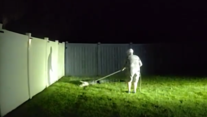 Florida Fish and Wildlife Commission help capture a trespassing on a residential property.