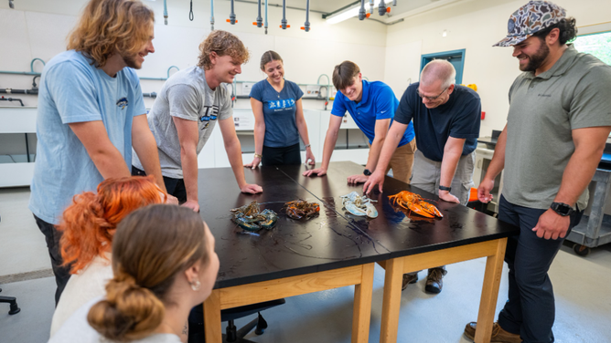 Markus Frederich, Ph.D., and students with rare lobsters including Casper the ghost lobster (estimated occurrence of 1 in over 100 million) at the Girard Marine Science Center