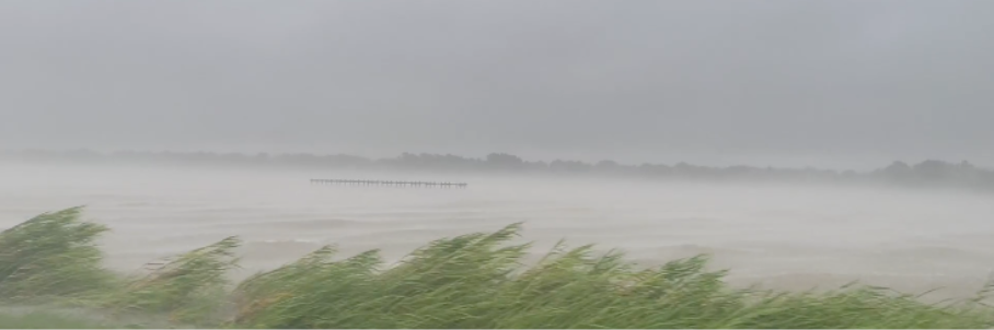 Tropical Depression Edouard slams Texas and Louisiana with heavy rain, flash flooding after making landfall