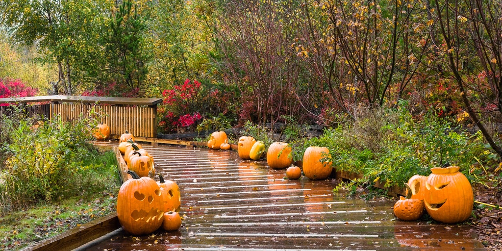 More than 20 states to see troublesome Halloween weather as rain, storms dominate the forecast